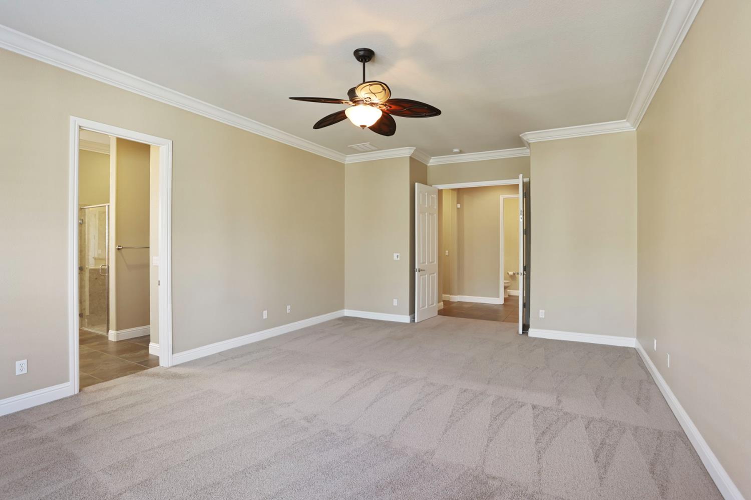 2439 Appleleaf Ln, Manteca, CA 95336