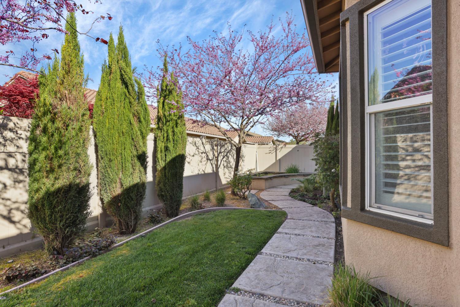 2439 Appleleaf Ln, Manteca, CA 95336