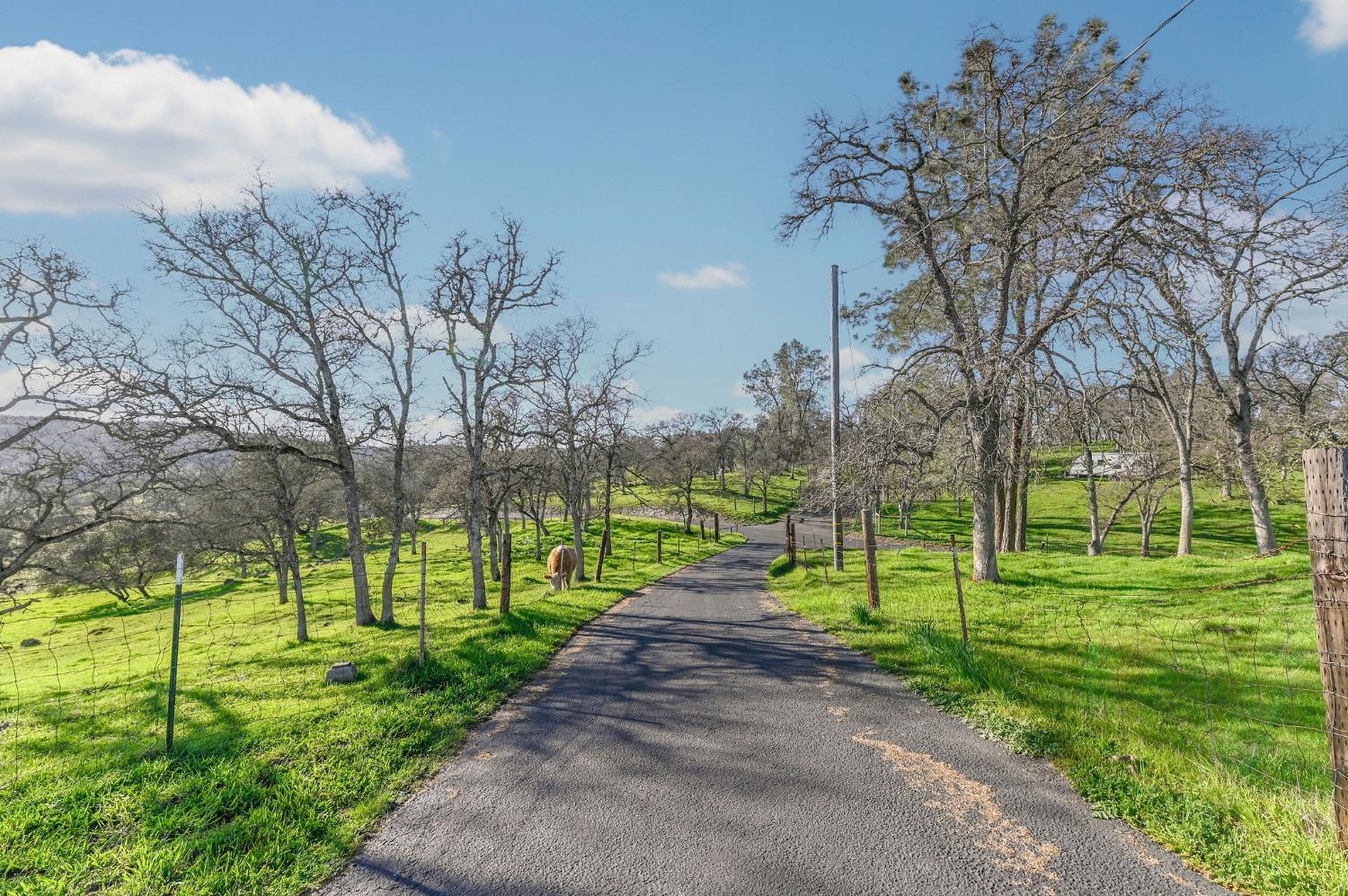 3653 Chuckwagon Dr, Copperopolis, CA 95228