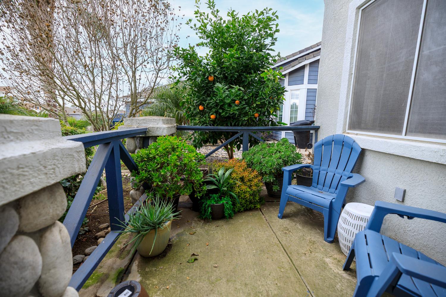 446 Meyenberg Ave, Ripon, CA 95366