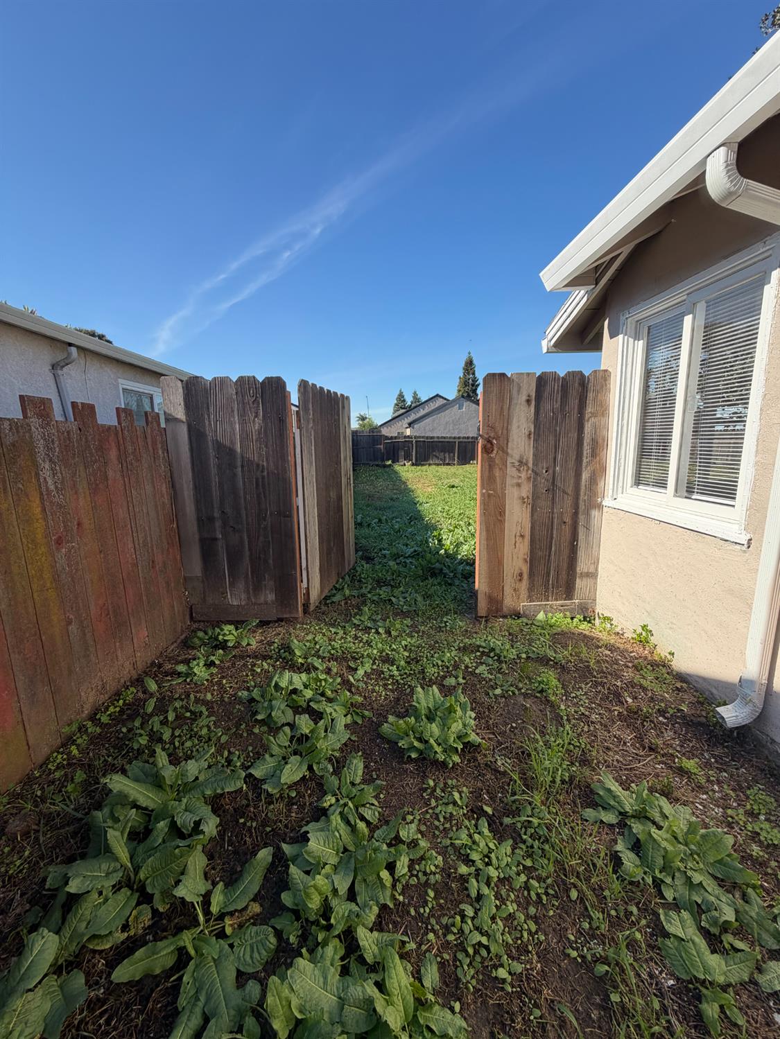 206 S Lee Ave, Oakdale, CA 95361