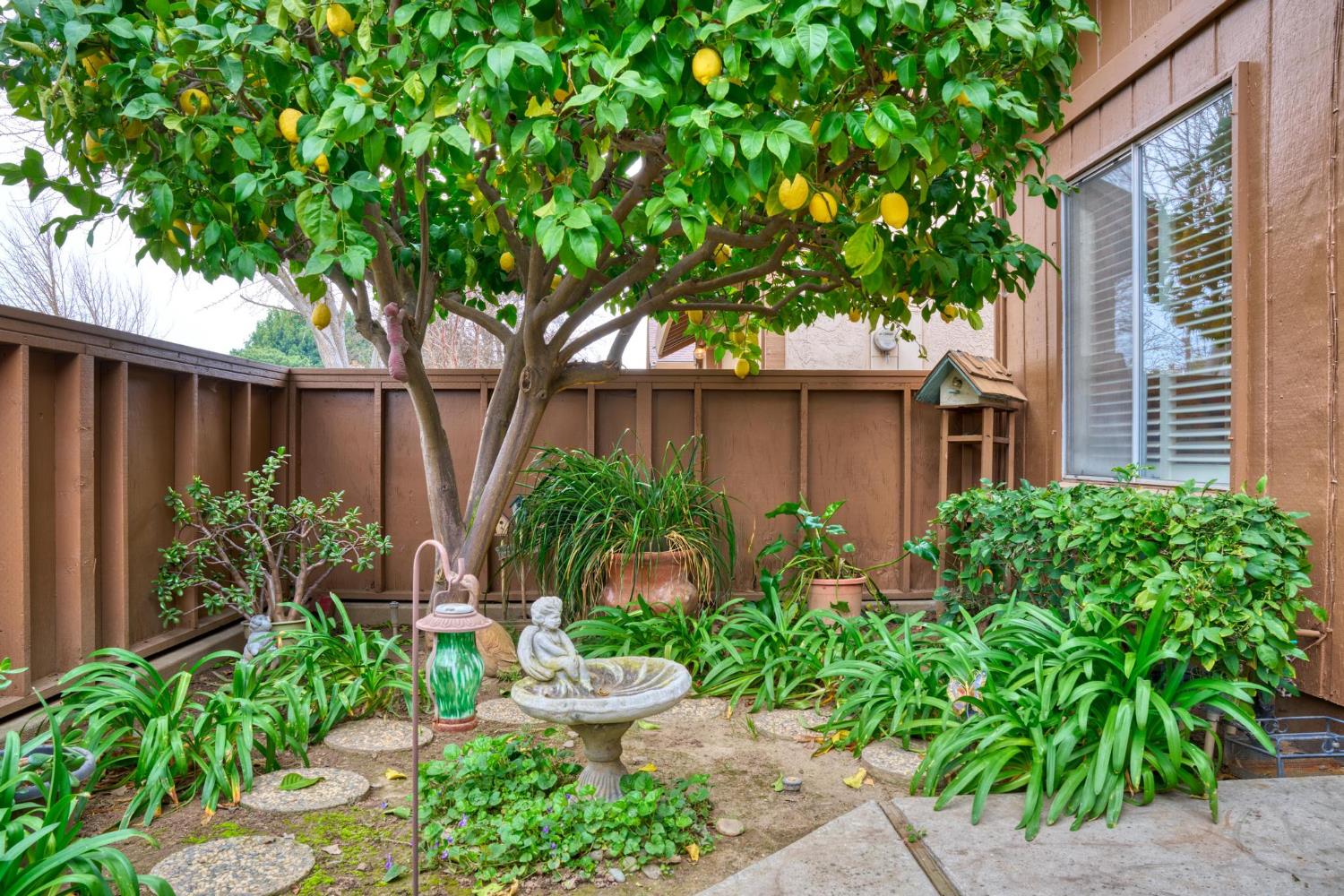 1809 Holly Oak Dr, Modesto, CA 95354