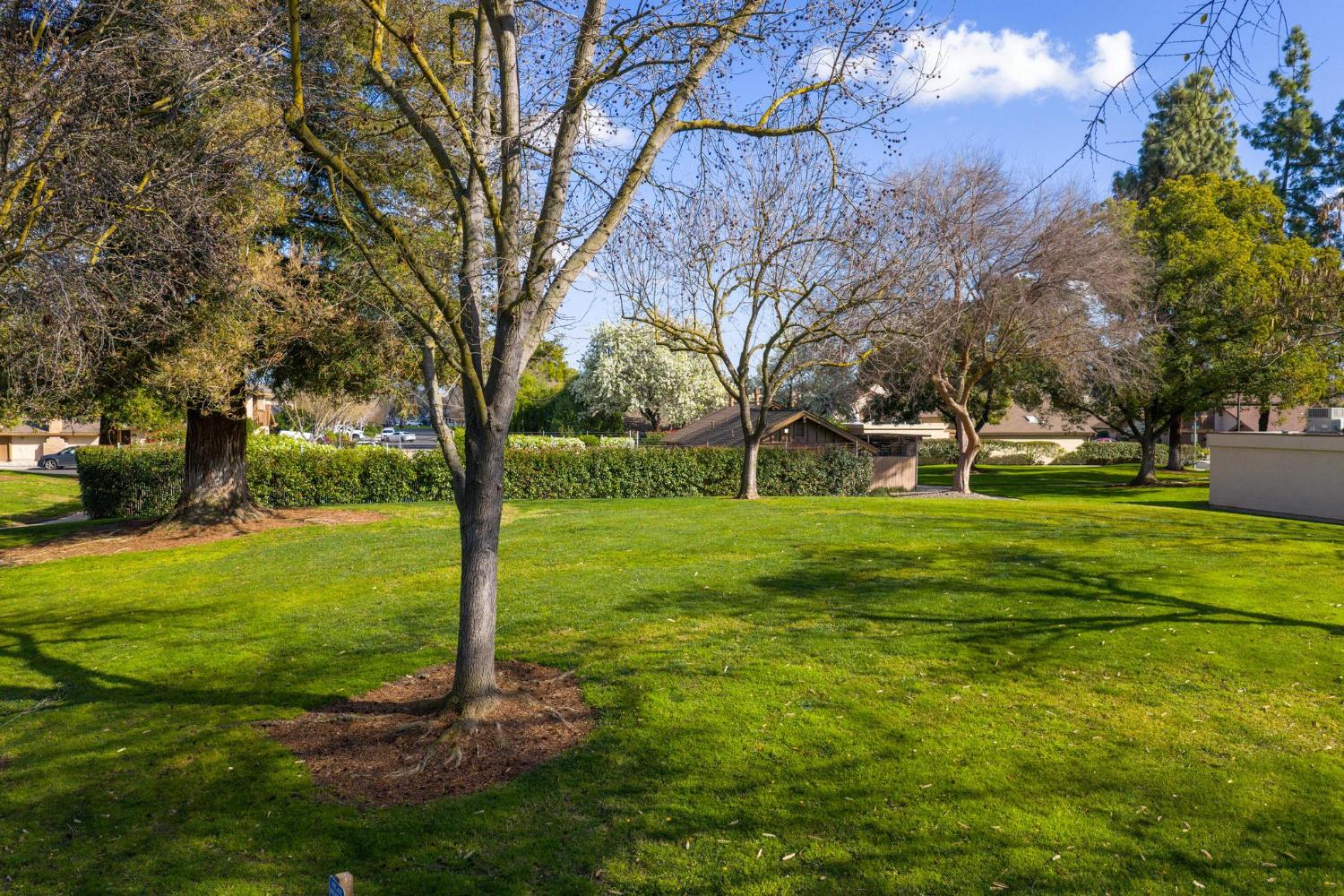 1809 Holly Oak Dr, Modesto, CA 95354