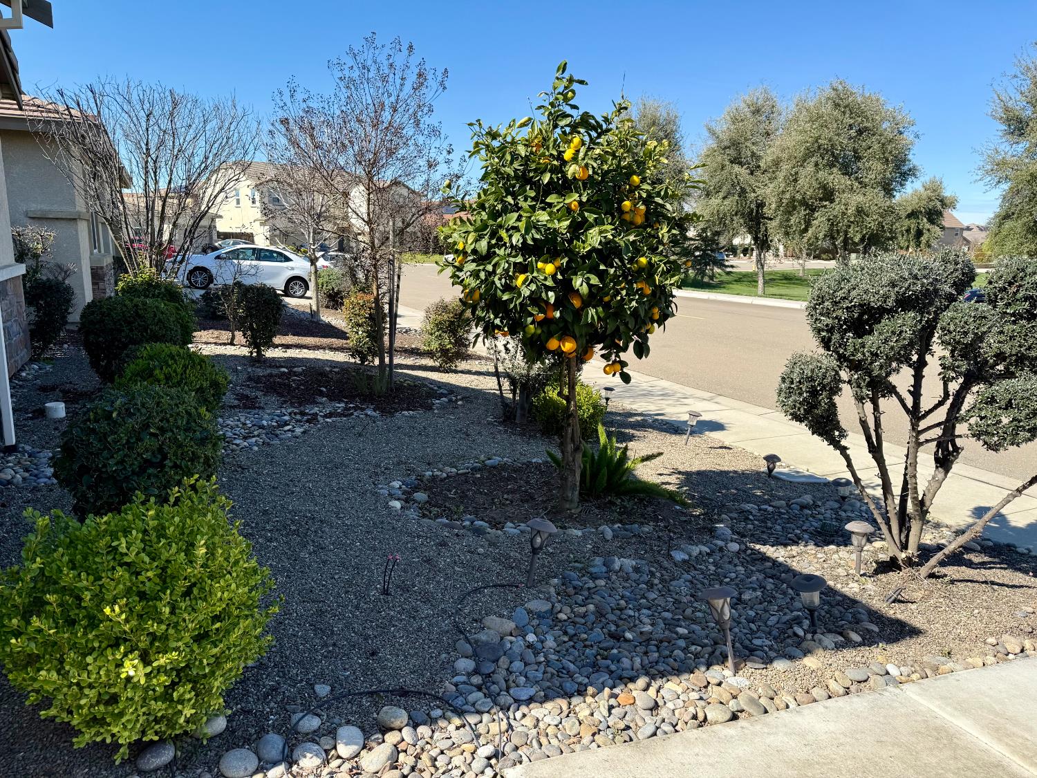 962 Orange Blossom Ave, Manteca, CA 95337