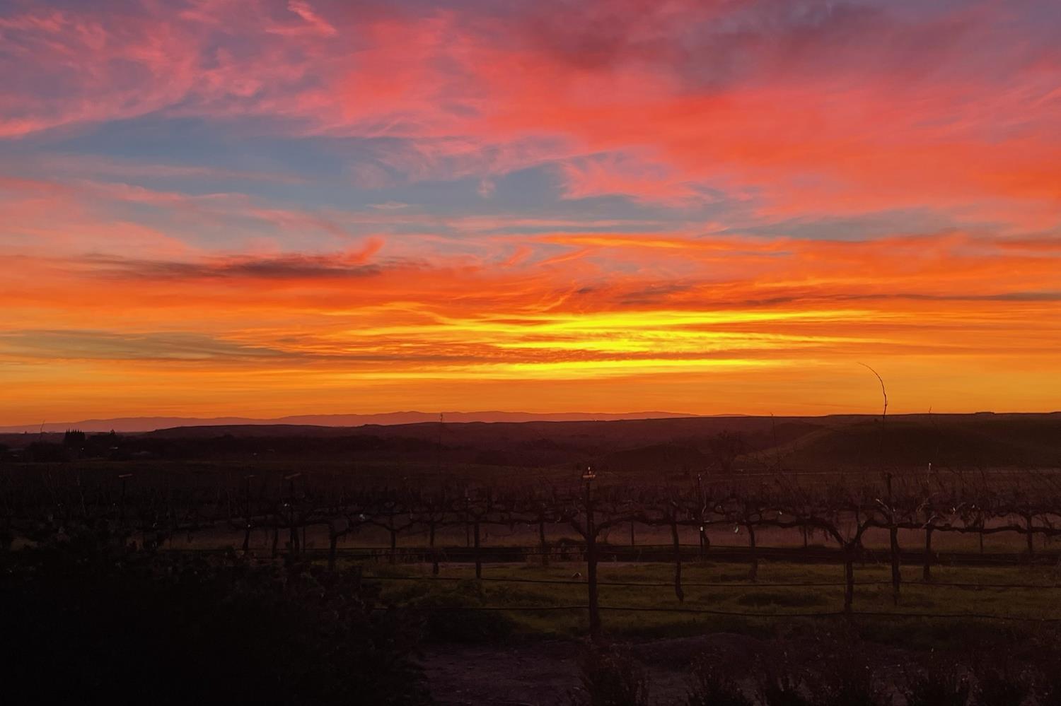 16641 Sonora Rd, Oakdale, CA 95361