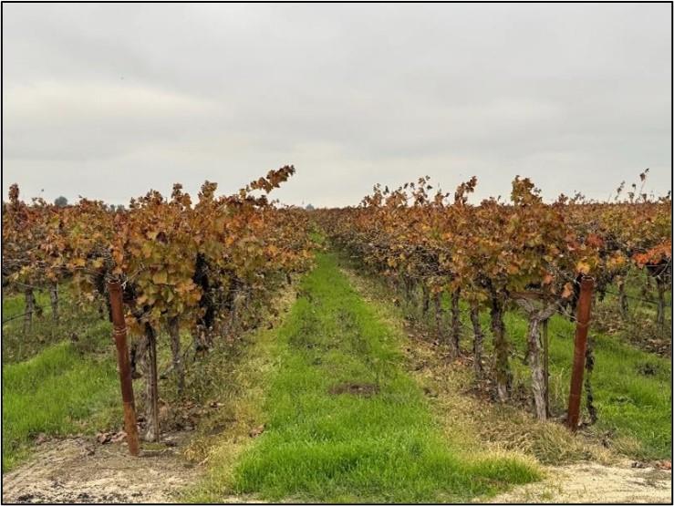 20303 Road 4, Chowchilla, CA 93610