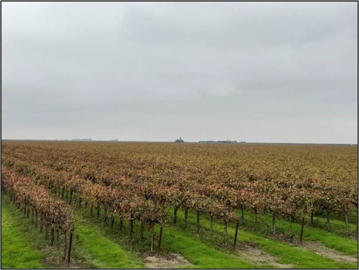 20303 Road 4, Chowchilla, CA 93610