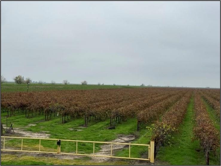 20303 Road 4, Chowchilla, CA 93610