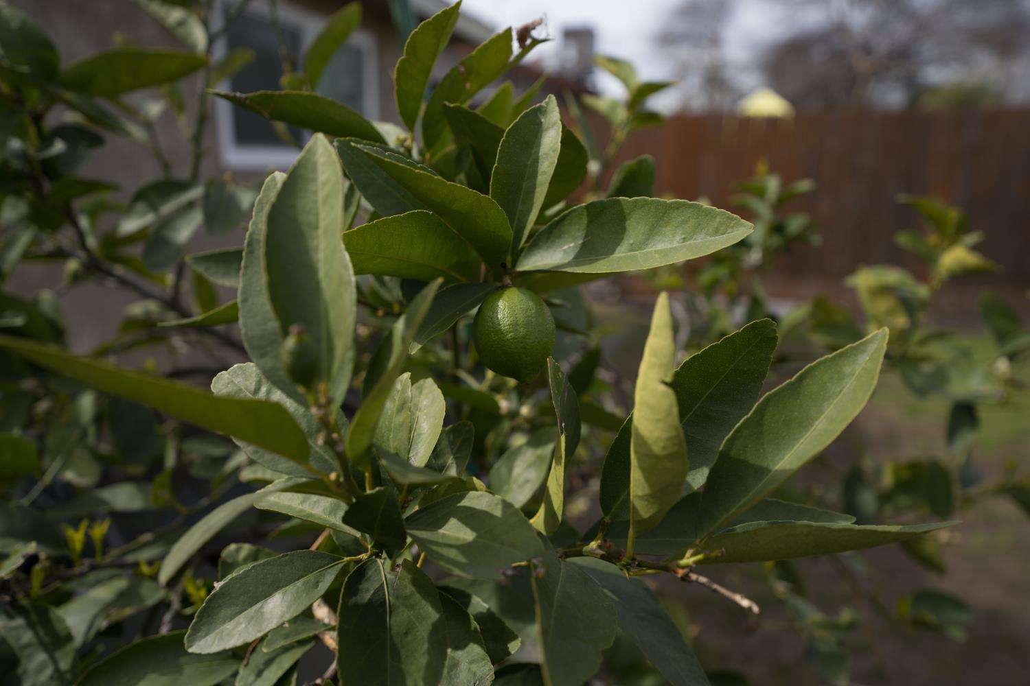 1576 E Warner, Fresno, CA 93710