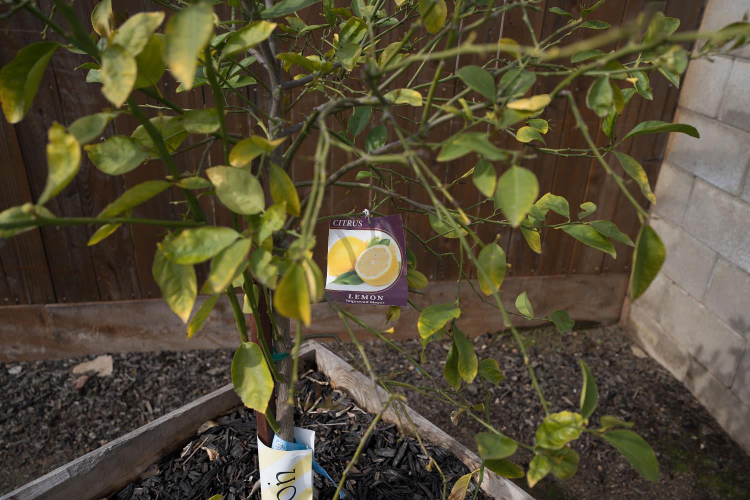 1576 E Warner, Fresno, CA 93710