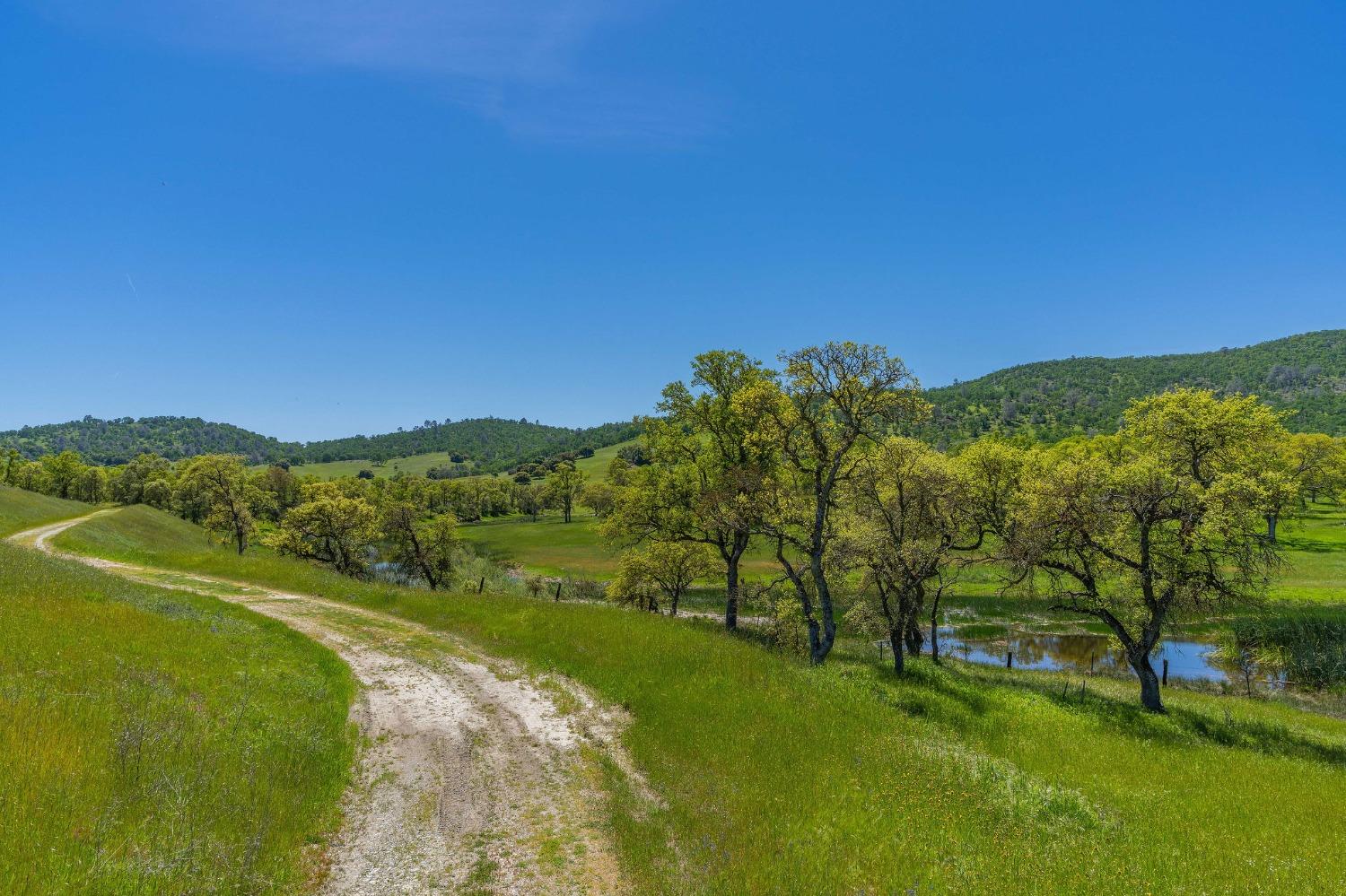 191 Quail Creek Ter, Copperopolis, CA 95228