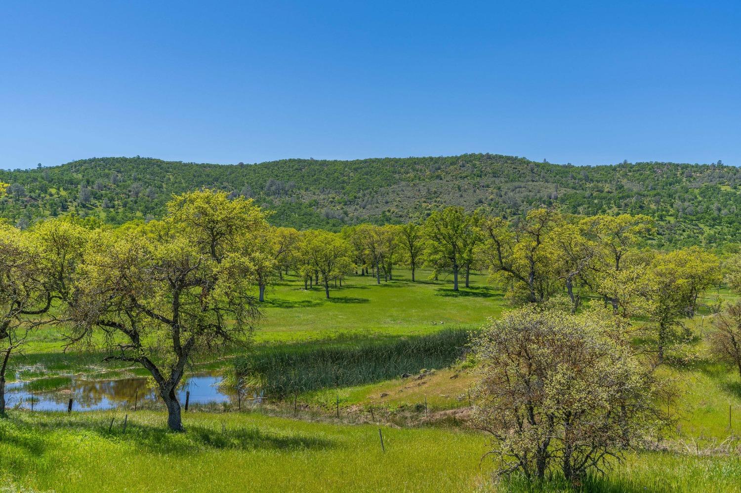 362 Quail Creek Dr #7, Copperopolis, CA 95228