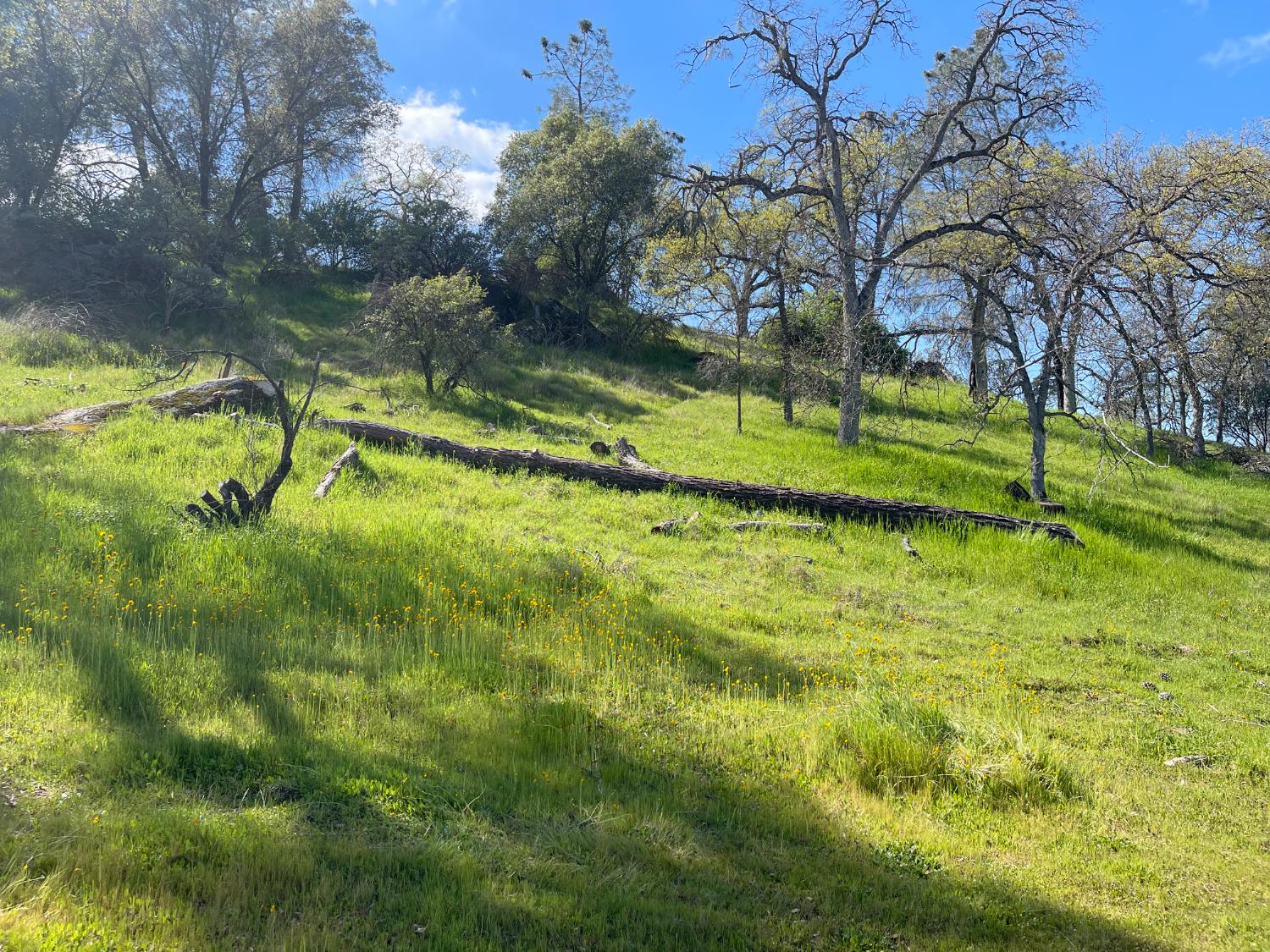 0 Depp Fore4st Dr, Coarsegold, CA 93614