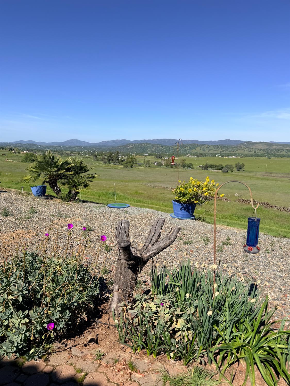 9556 Banderilla Dr, La Grange, CA 95329