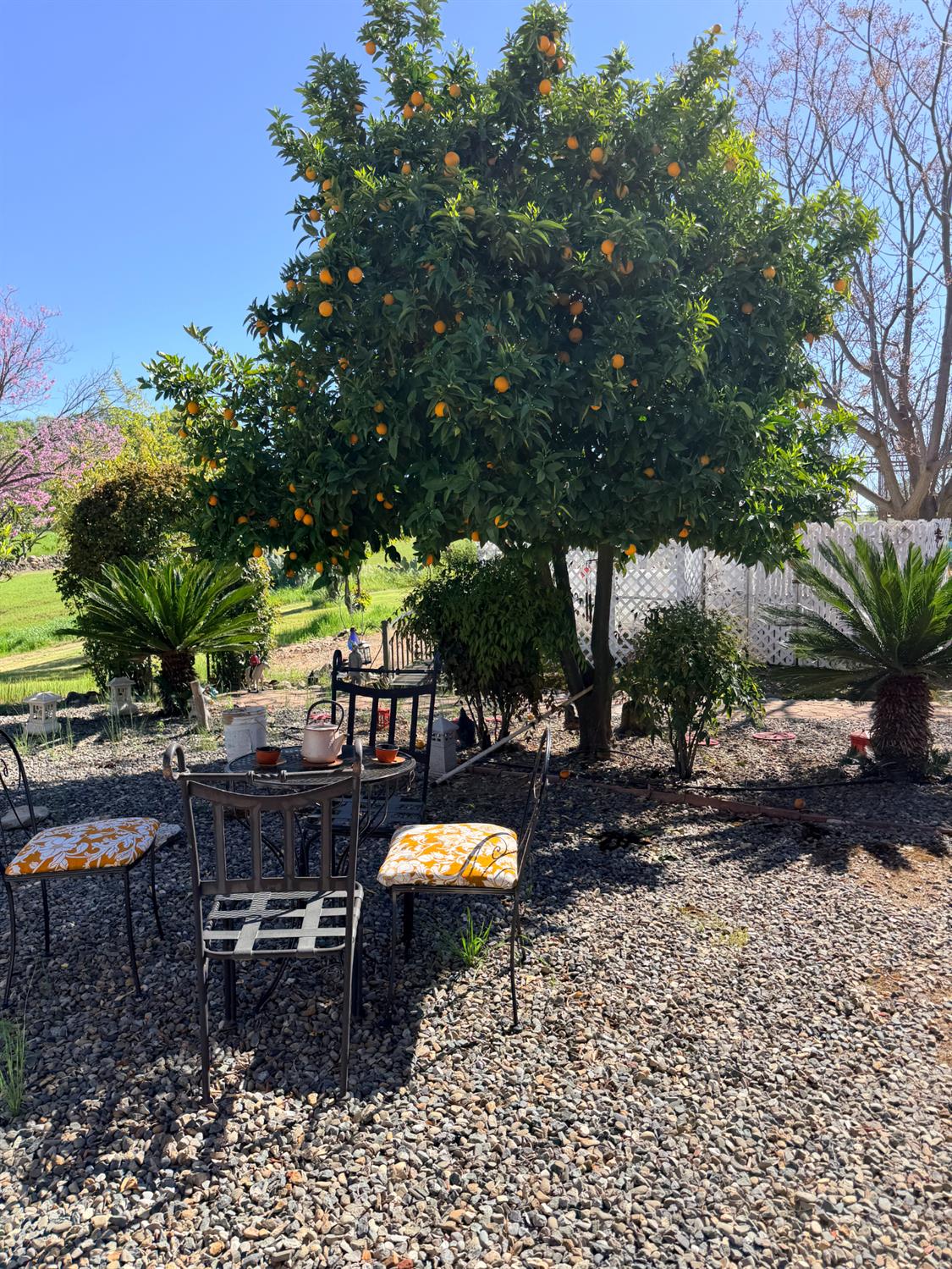 9556 Banderilla Dr, La Grange, CA 95329