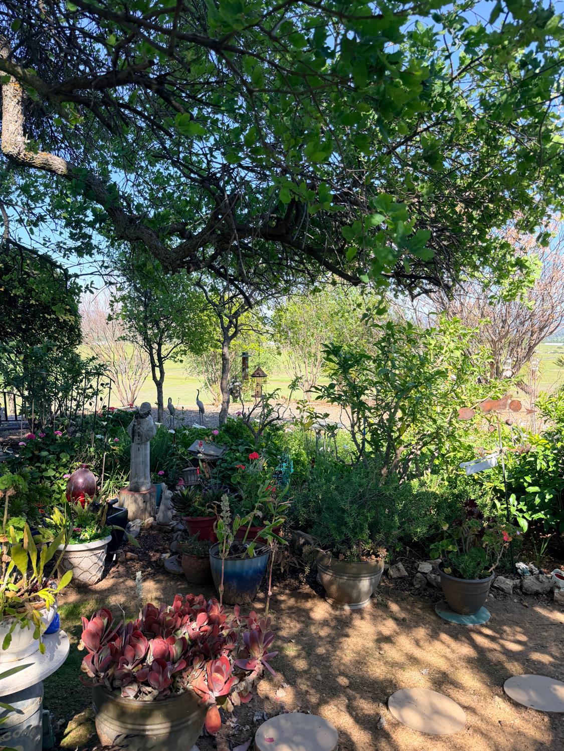 9556 Banderilla Dr, La Grange, CA 95329