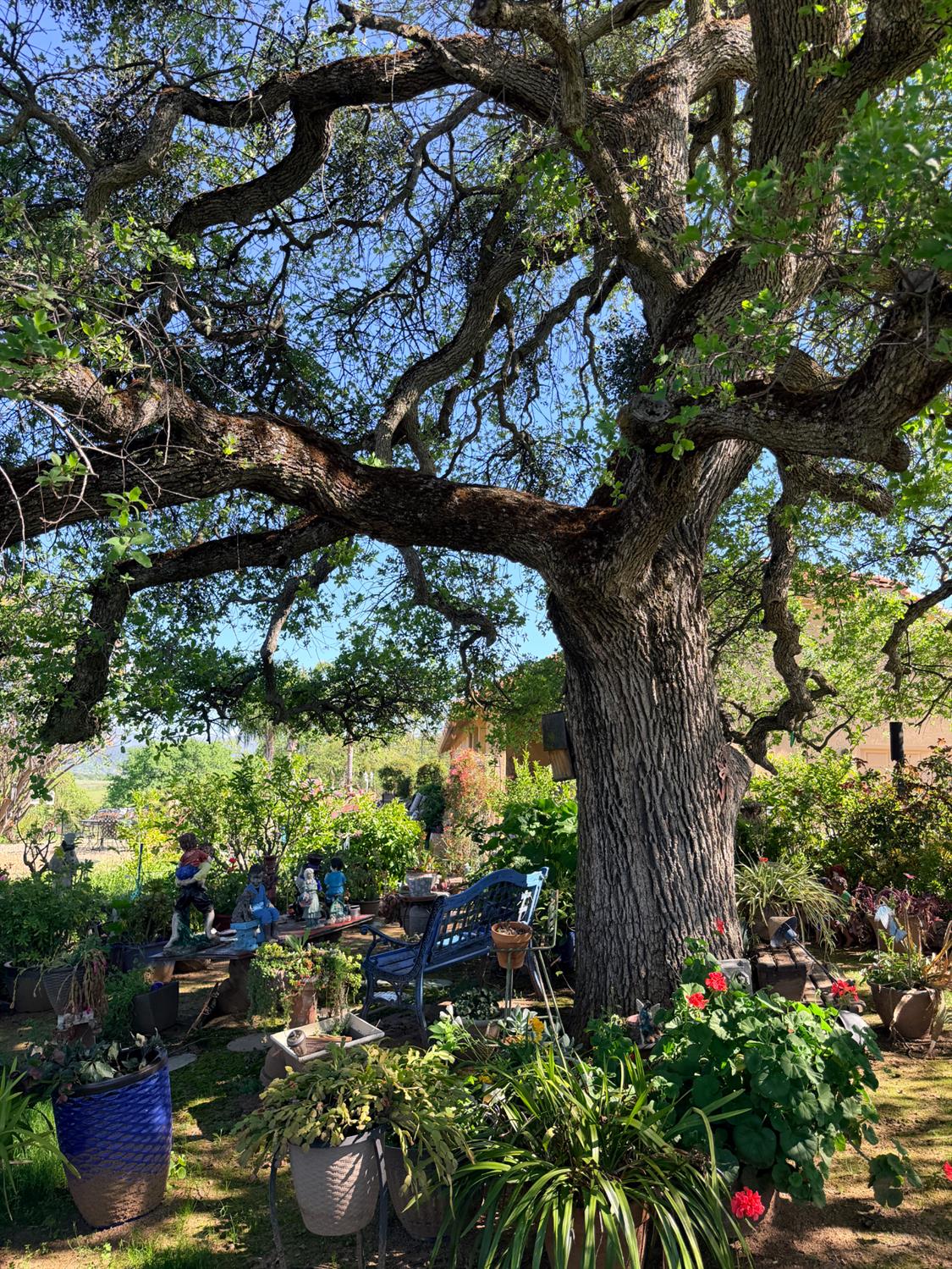 9556 Banderilla Dr, La Grange, CA 95329