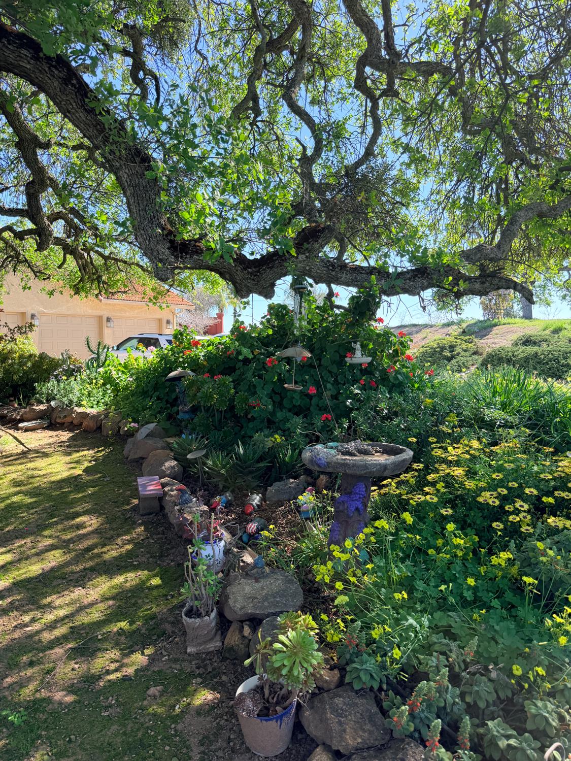 9556 Banderilla Dr, La Grange, CA 95329