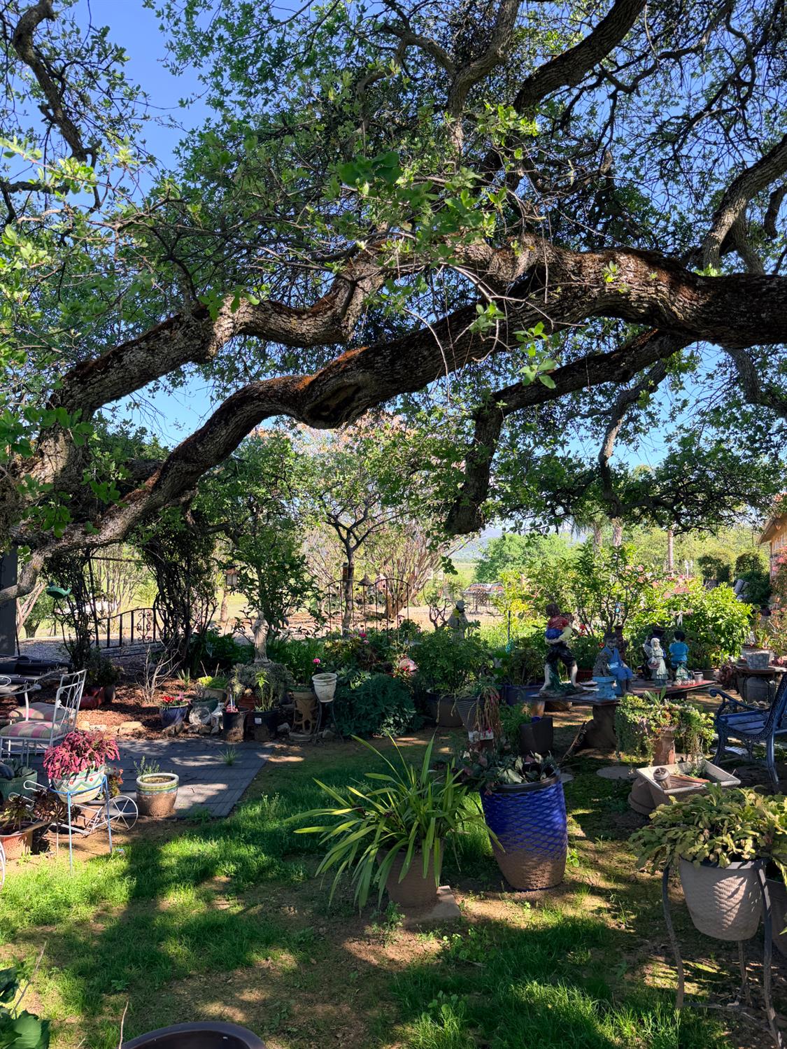 9556 Banderilla Dr, La Grange, CA 95329