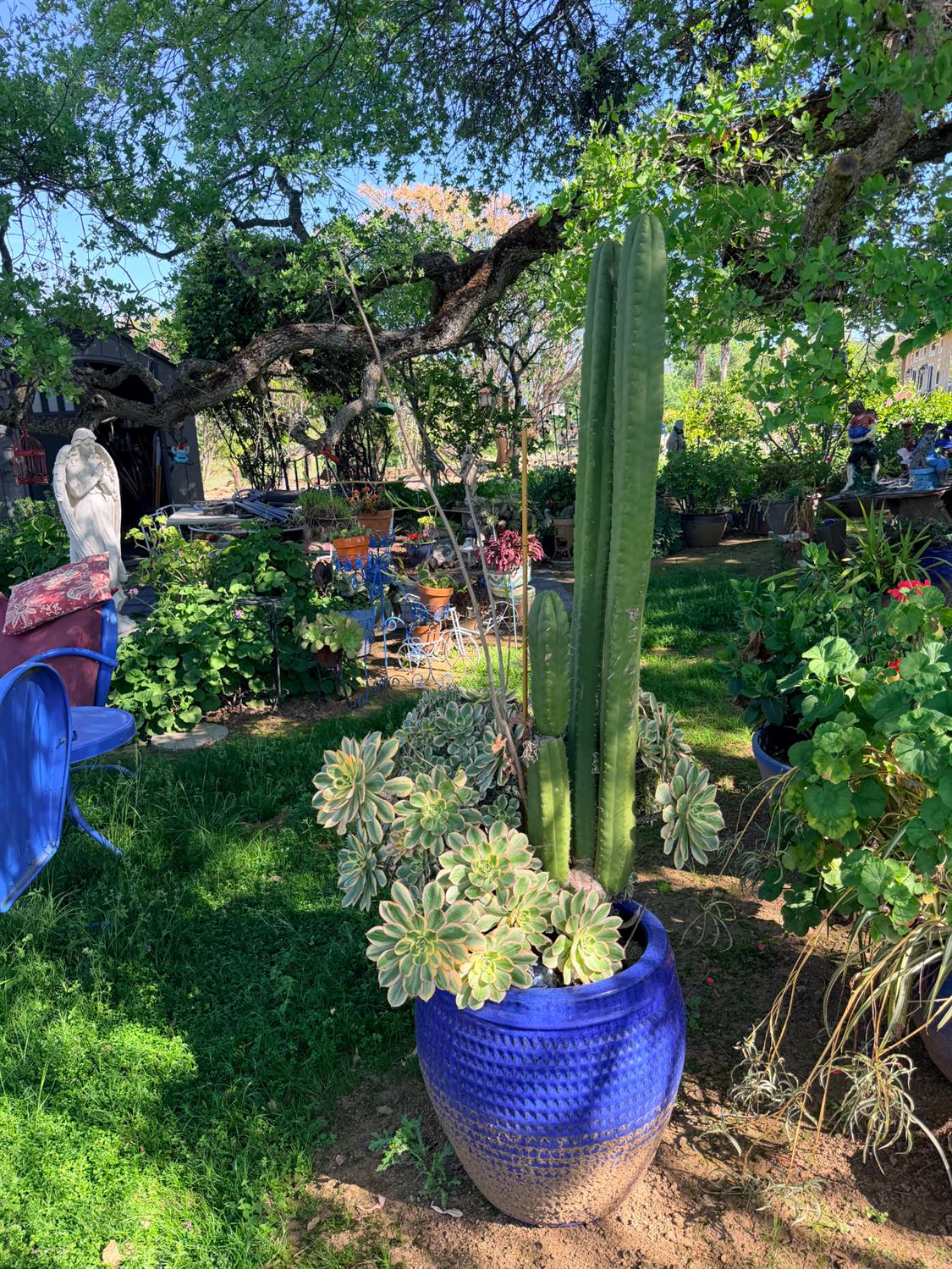 9556 Banderilla Dr, La Grange, CA 95329