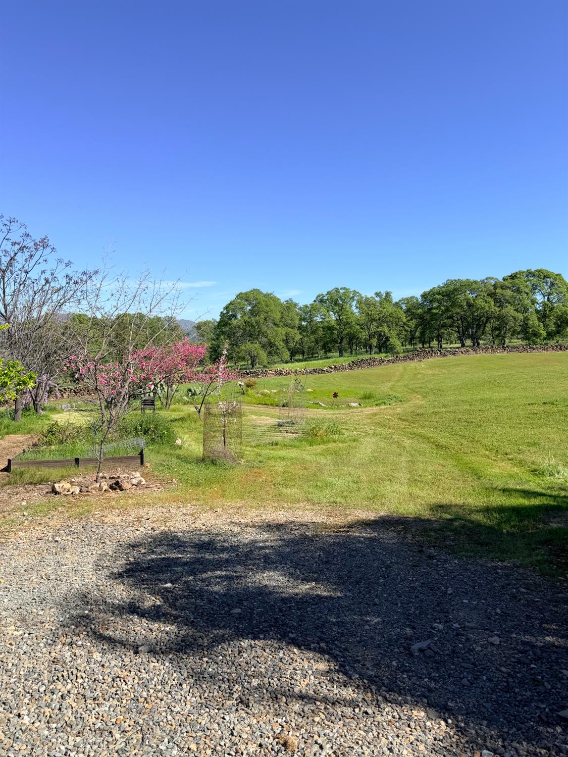 9556 Banderilla Dr, La Grange, CA 95329