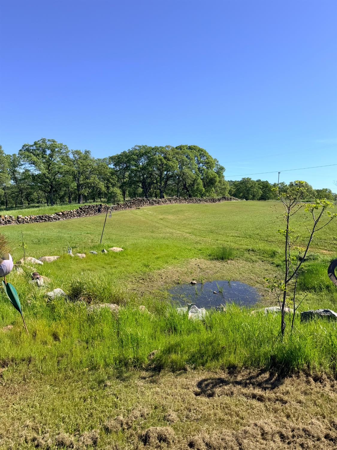 9556 Banderilla Dr, La Grange, CA 95329