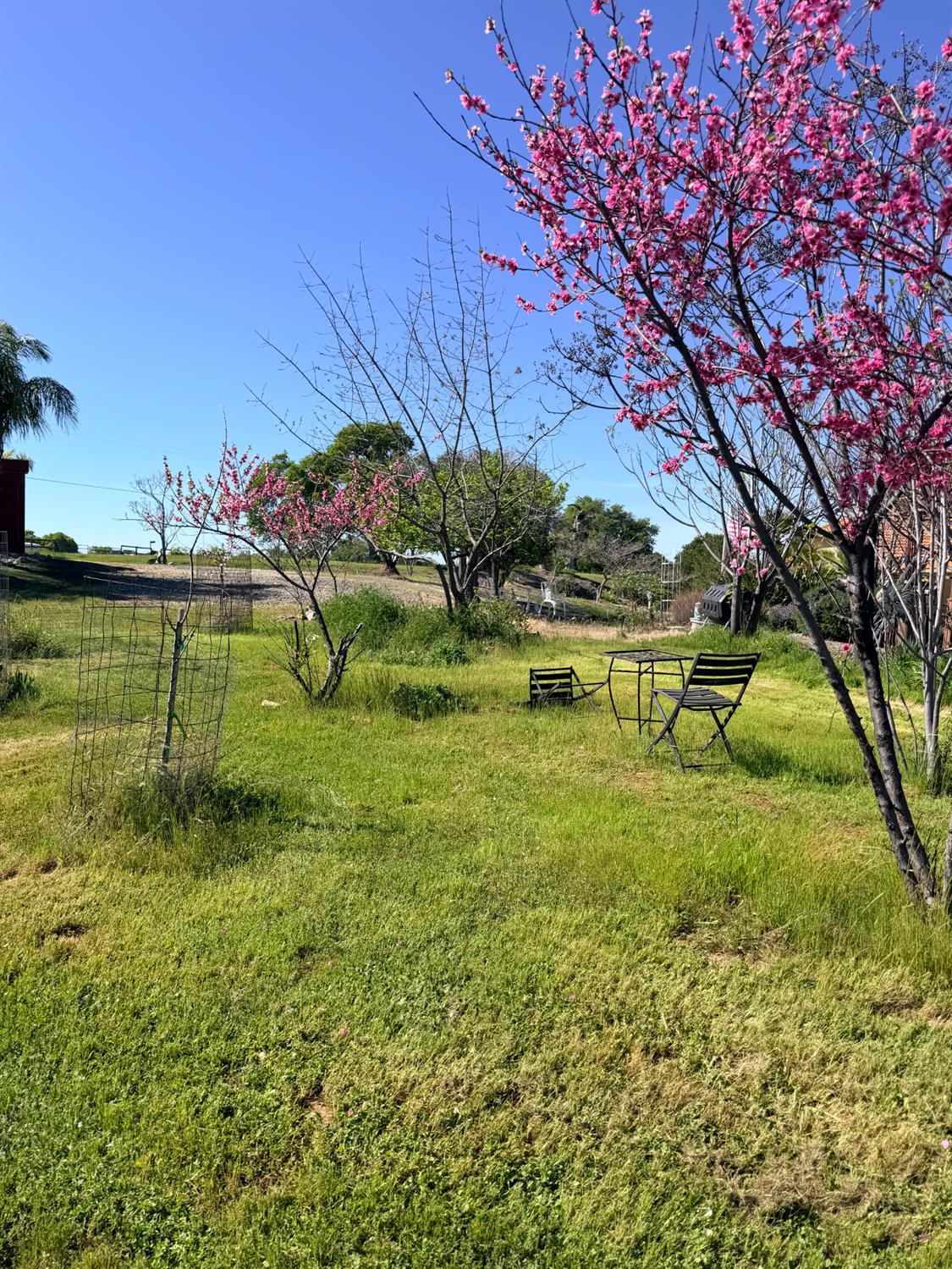 9556 Banderilla Dr, La Grange, CA 95329