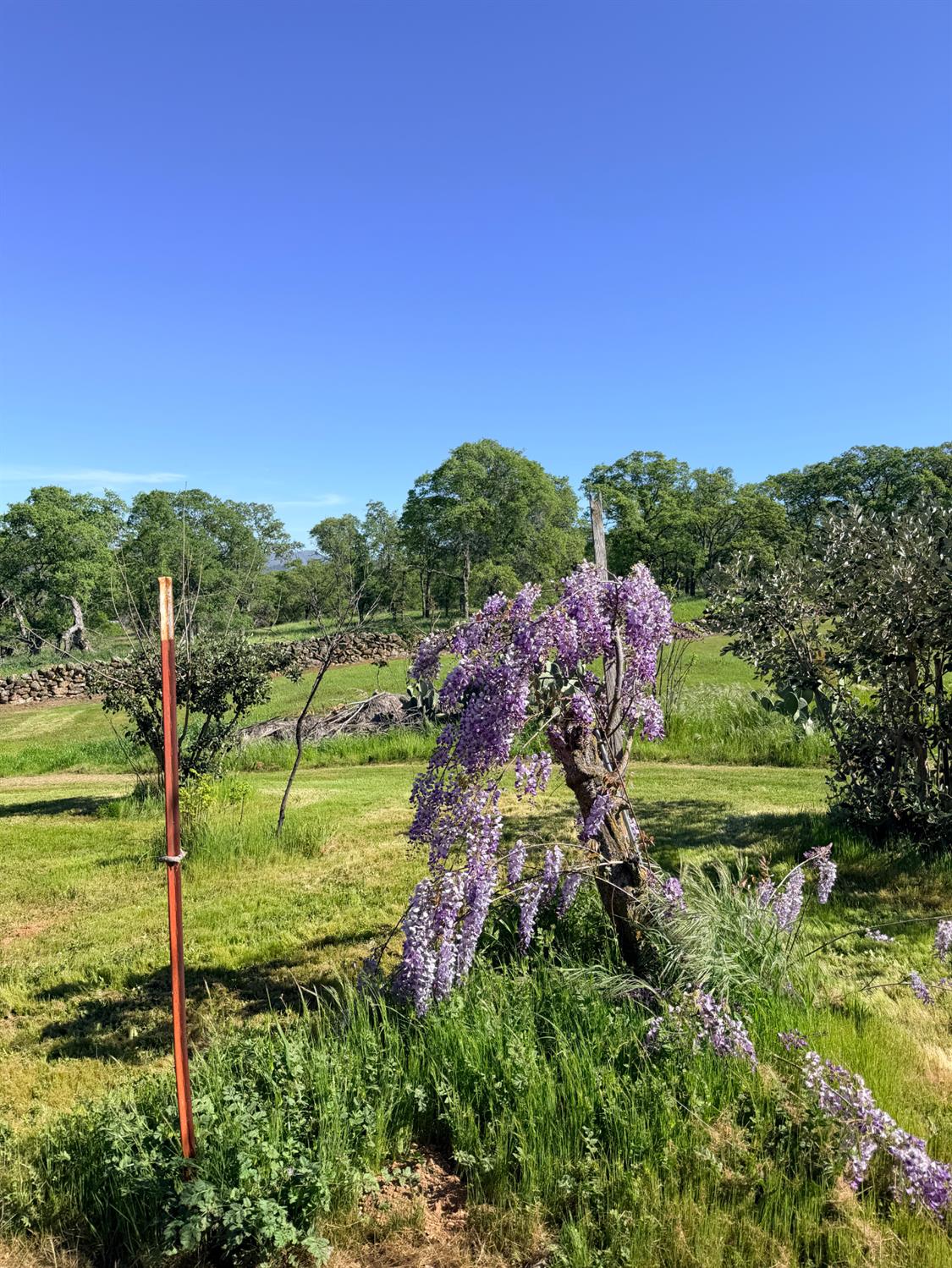 9556 Banderilla Dr, La Grange, CA 95329