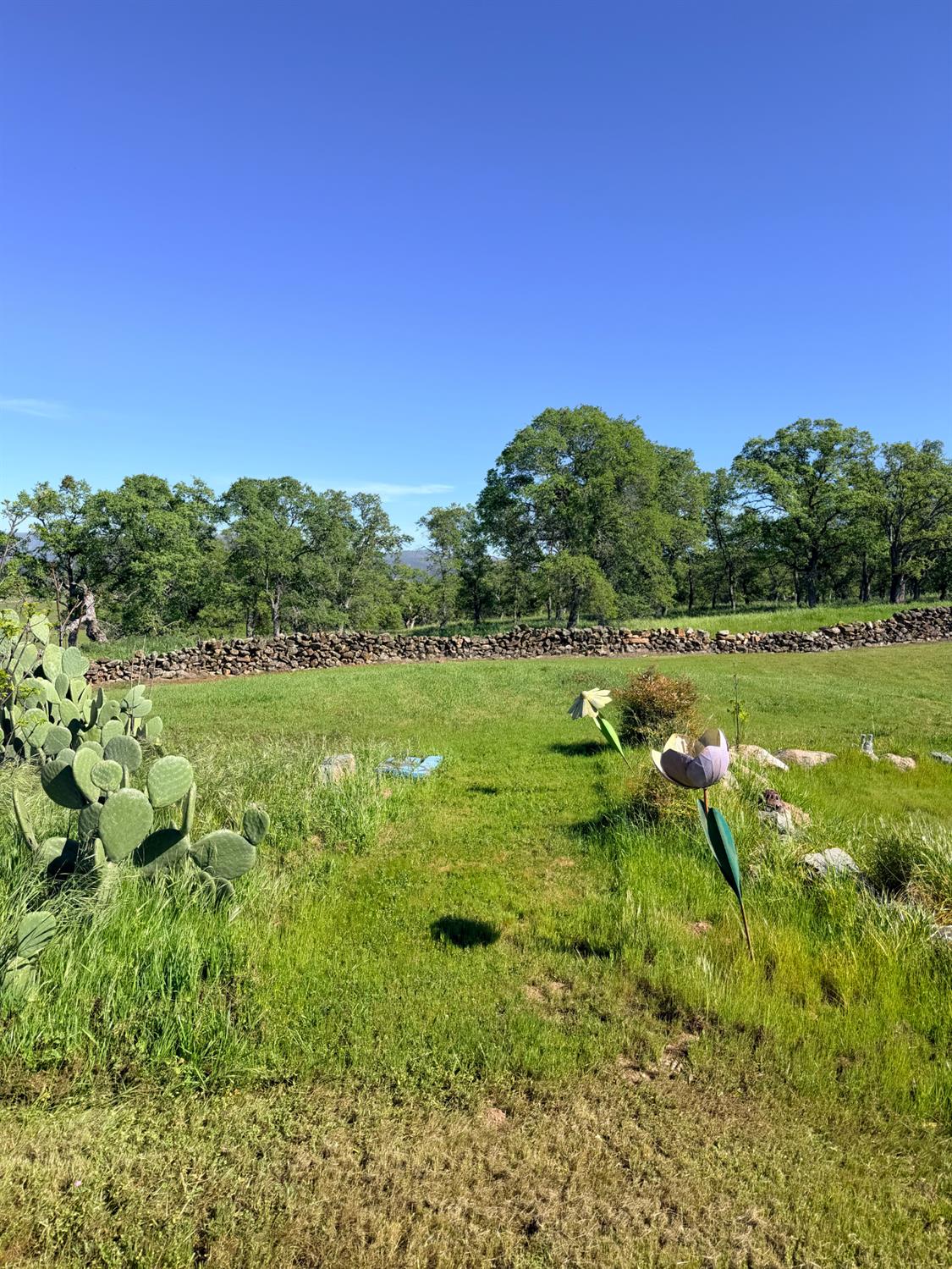 9556 Banderilla Dr, La Grange, CA 95329