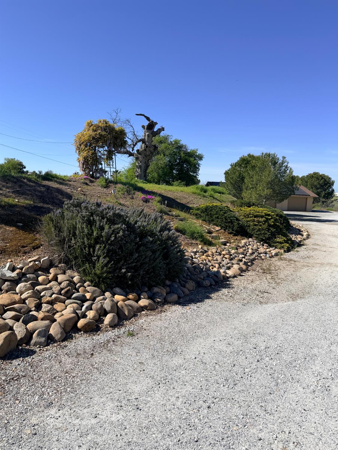 9556 Banderilla Dr, La Grange, CA 95329