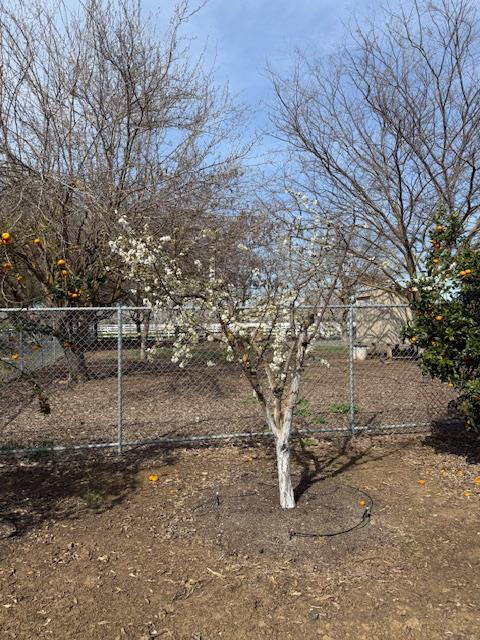 18413 Sycamore Ave, Patterson, CA 95363