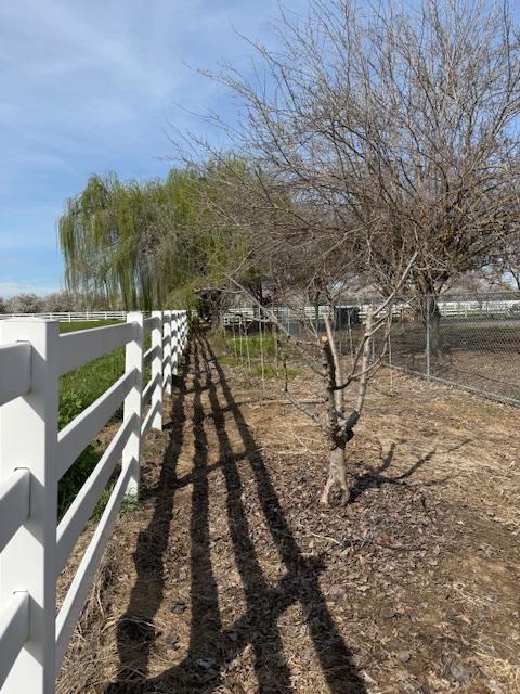 18413 Sycamore Ave, Patterson, CA 95363