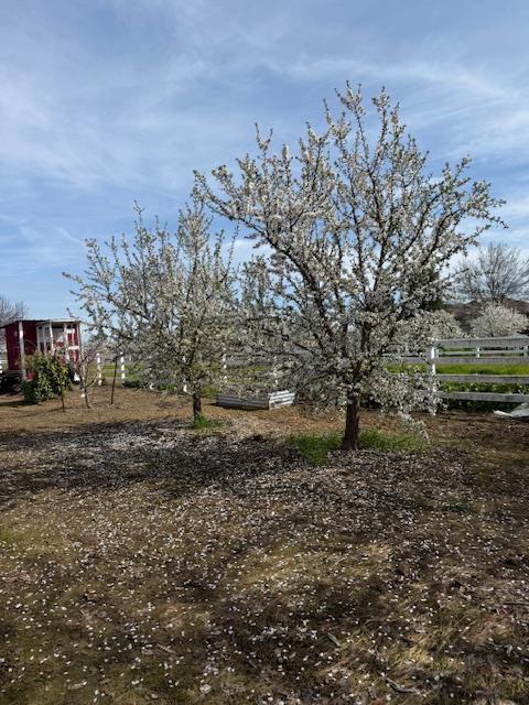 18413 Sycamore Ave, Patterson, CA 95363