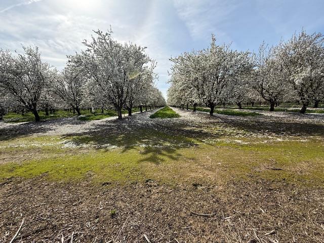 18413 Sycamore Ave, Patterson, CA 95363