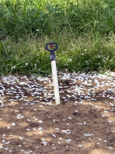 18413 Sycamore Ave, Patterson, CA 95363