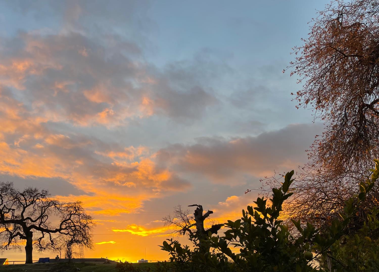 9570 Banderilla Dr, La Grange, CA 95329