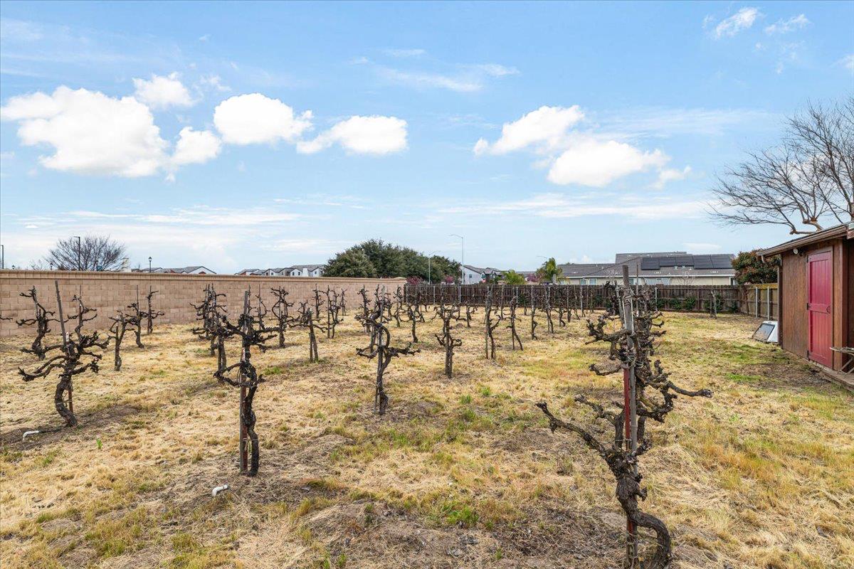 1555 Sand Ln, Manteca, CA 95337