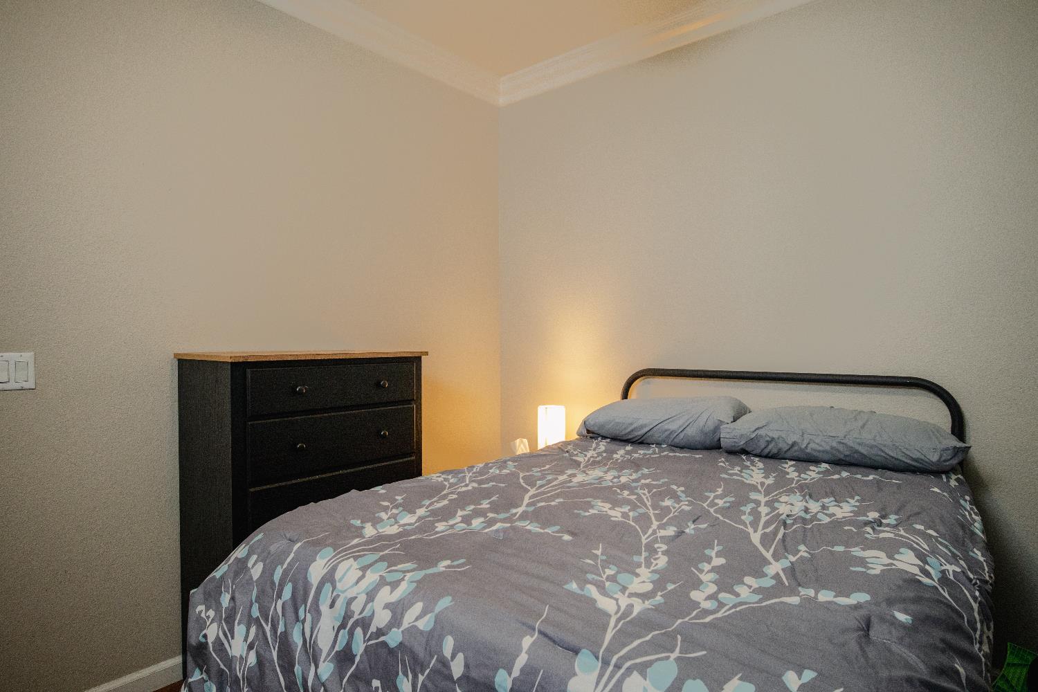 1588 Hastings Dr, Manteca, CA 95336