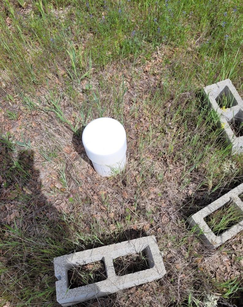 4465 Burl Dr, Mariposa, CA 95338