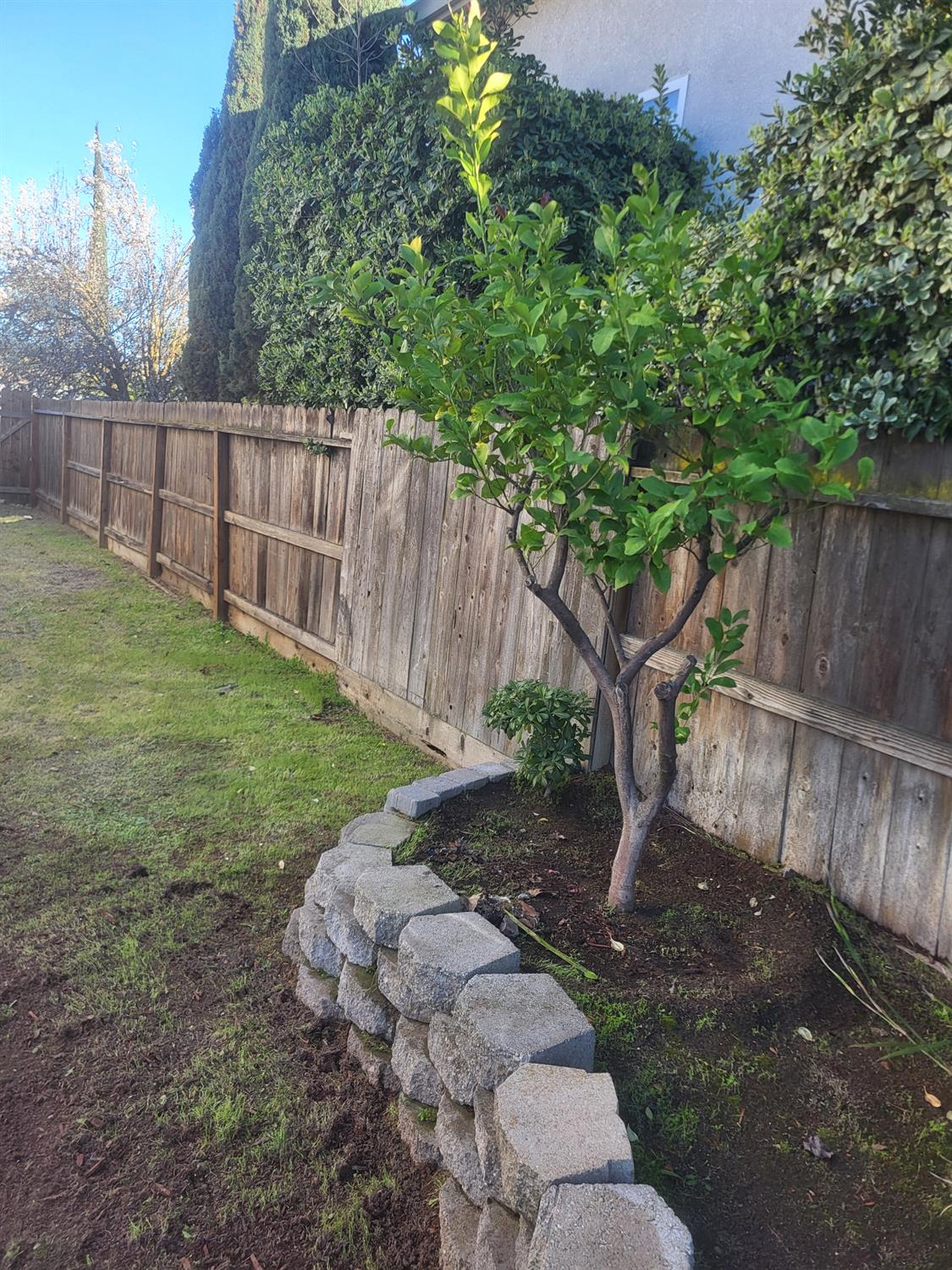 1709 Queensland Ave, Manteca, CA 95337