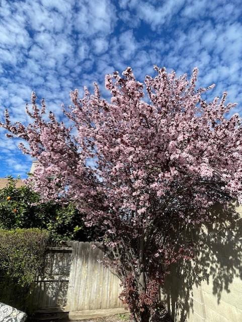 196 Dyer Ave, Manteca, CA 95336