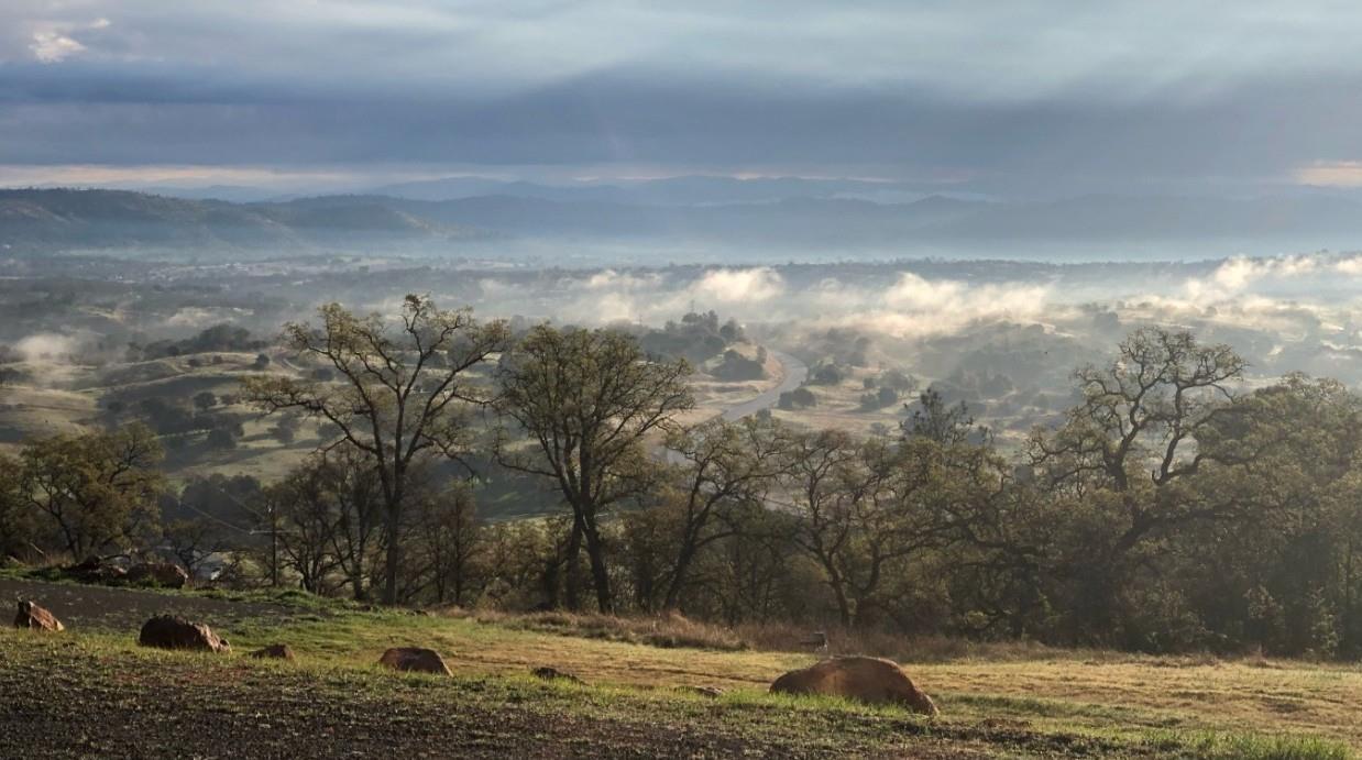 2460 Sulkey Ct, Copperopolis, CA 95228