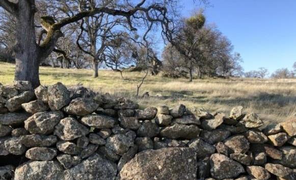 2460 Sulkey Ct, Copperopolis, CA 95228