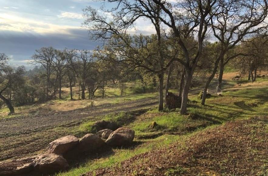 2460 Sulkey Ct, Copperopolis, CA 95228