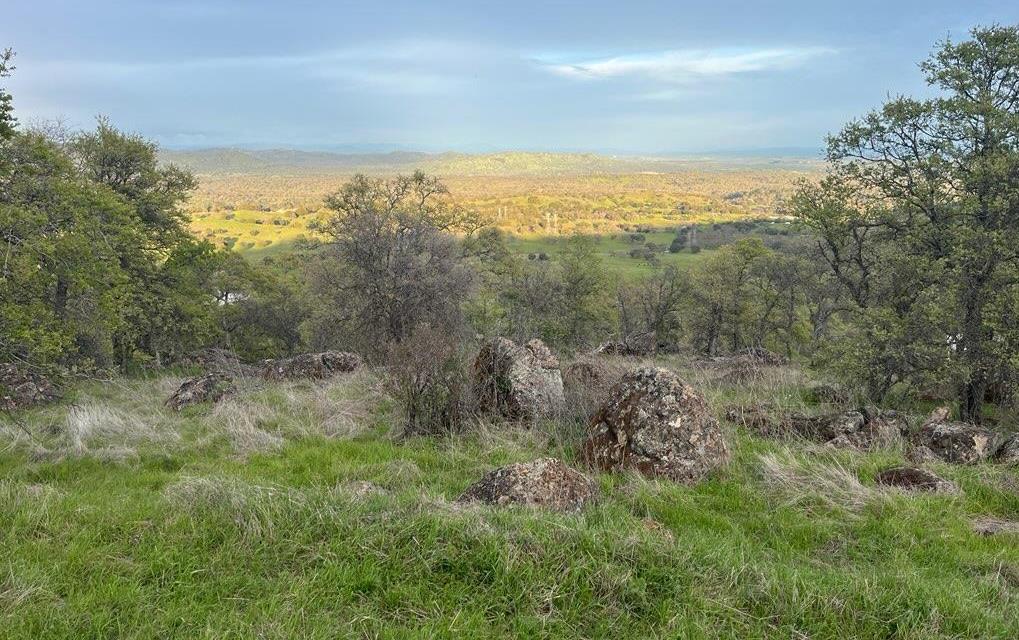 2460 Sulkey Ct, Copperopolis, CA 95228