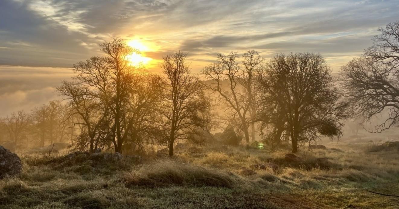 2460 Sulkey Ct, Copperopolis, CA 95228