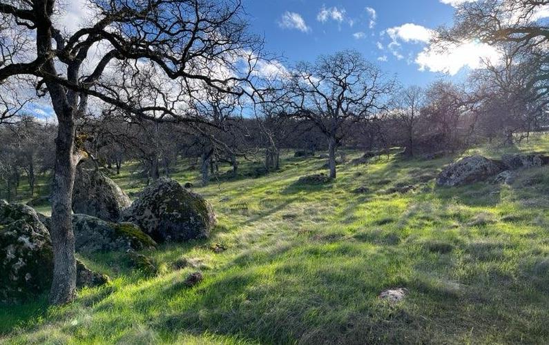 2460 Sulkey Ct, Copperopolis, CA 95228