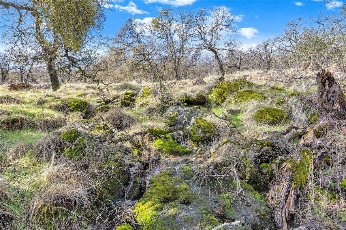 2460 Sulkey Ct, Copperopolis, CA 95228