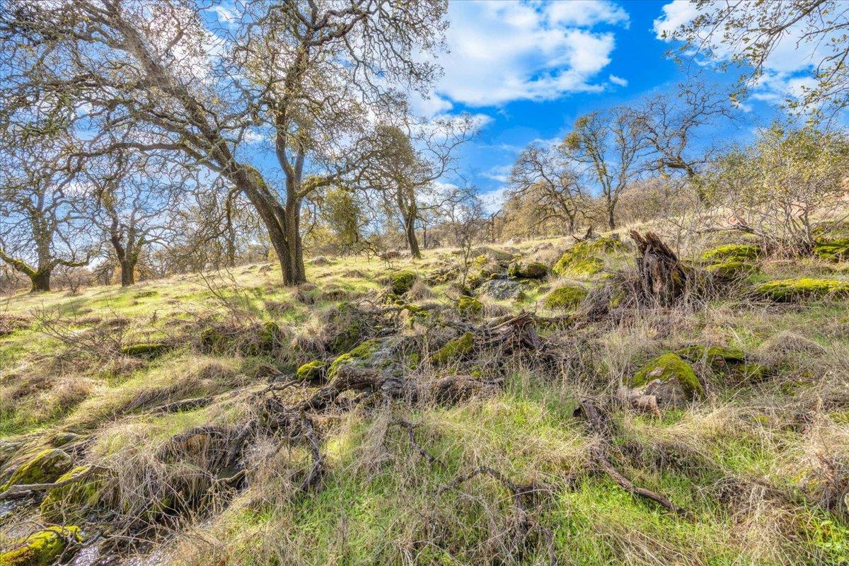 2460 Sulkey Ct, Copperopolis, CA 95228