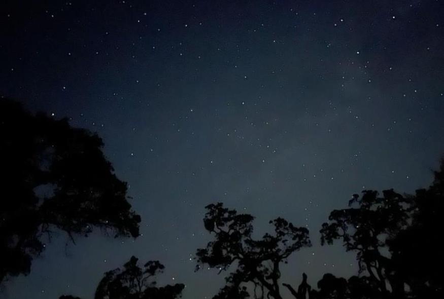 2460 Sulkey Ct, Copperopolis, CA 95228